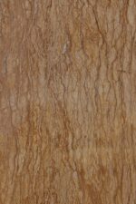Takab Tree Trunk Travertine