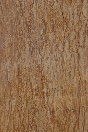3298 Takab Tree Trunk Travertine - Image 1