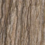 Takab Tree Trunk Travertine - Image 3
